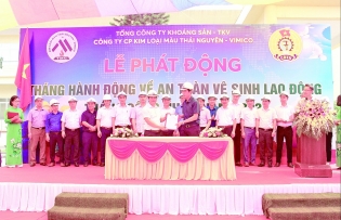 VIMICO succeeds despite difficulties