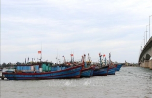 Binh Thuan determined to crack down on illegal fishing vessels