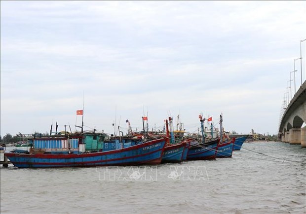 Binh Thuan has asked localities and agencies to complete the list of unqualified fishing vessels that have not registered for operation or applied for fishing licence. (Photo: VNA)