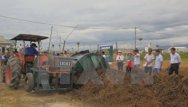 Producing organic fertiliser from straw (Photo: VNA)