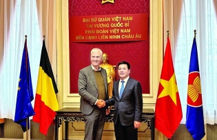 Vietnam, EU take advantage of EVFTA