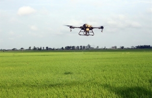 WB-funded agriculture project benefits 29,000 farmer households in Soc Trang