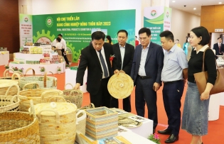 Long-term strategy needed for rural industrial products