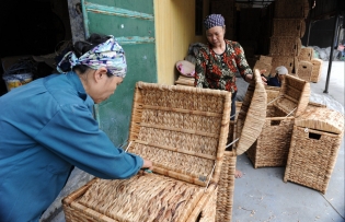Hanoi synergizes resources for craft village development
