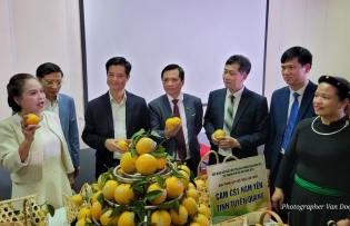 Boost given to key projects