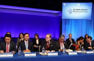 Vietnam ready to build green transformation cooperation model with EU