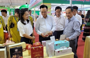 Better design needed to develop outstanding rural industrial products