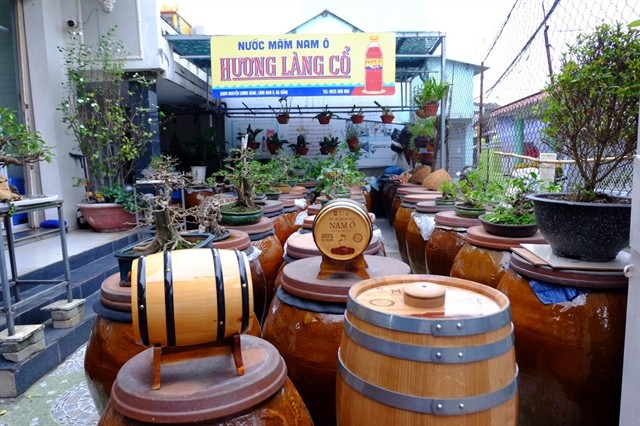 Fish sauce is stored in oak barrels at a fish sauce maker in Nam Ô village in Đà Nẵng. Fish sauce is promoted as an eco-tour experience in the village. Photo courtesy of Nhật Huy Fish sauce is stored in oak barrels at a fish sauce maker in Nam Ô village in Đà Nẵng. Fish sauce is promoted as an eco-tour experience in the village. Photo courtesy of Nhật Huy