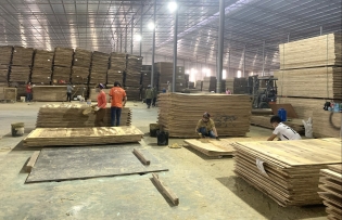 Bac Kan Province: Positive signs of industrial production, trade