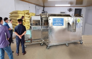 Dien Bien effectively supports local companies in macadamia processing