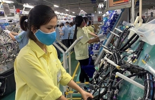 More connection needed for market expansion