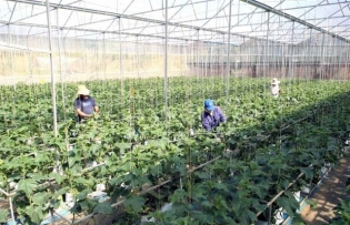 Cooperatives seek to expand sales to e-commerce