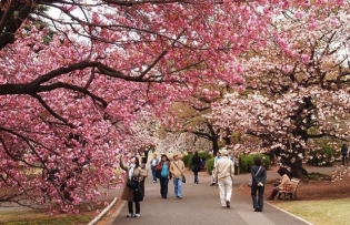 7 places that are worth a visit in Điện Biên