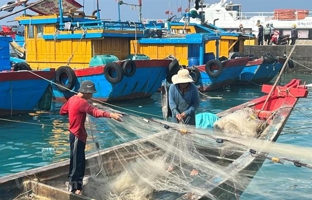 Bình Thuận works to stop fishing vessels from infringing on foreign waters