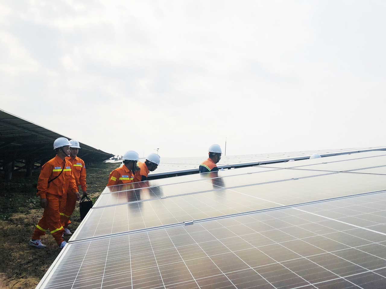 The Ministry of Industry and Trade promotes the development of green and renewable energy for sustainable growth - photo: Dinh Dung  The Ministry of Industry and Trade promotes the development of green and renewable energy for sustainable growth - photo: Dinh Dung