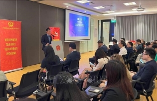 Vietnam, Singapore promote cross-border e-commerce