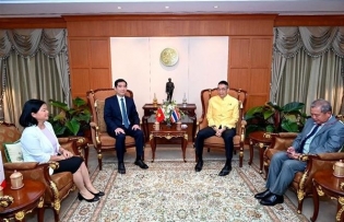 Thailand always values enhanced strategic partnership with Vietnam: Thai minister
