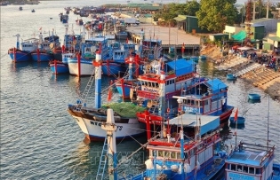Ninh Thuan steps up IUU fishing combat