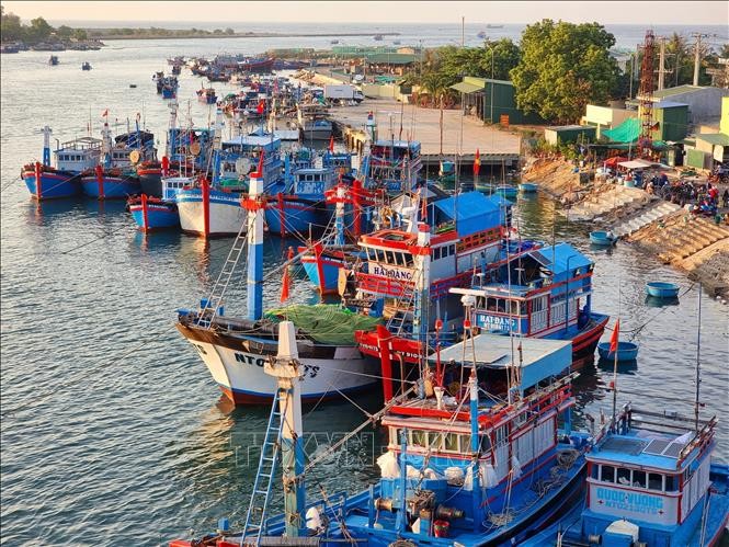 All of the fishing boats in Ninh Thuan province have sufficient documents proving their seaworthiness. (Photo: VNA)