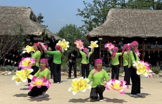 Sông Hồng Festival 2024 promotes cultural exchange between Việt Nam and China