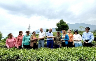 Canadian enterprises interested in Vietnamese market