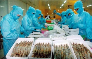 Shrimp exports likely to maintain growth momentum