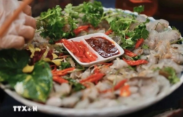 Vietnamese food festival lures visitors