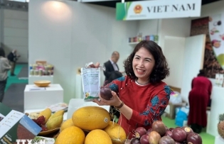 Italy top-4 EU trade partner of Vietnam