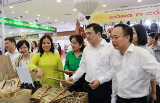 Hanoi good at rural industrial development