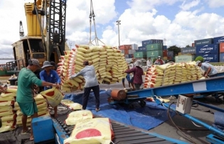 Philippine tax cut opens up new opportunities for Vietnamese rice exports
