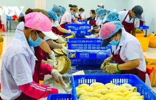 Farm produce exports on course to meet US$54 billion target for 2024