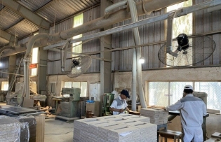 Forestry export booms in large markets in H1