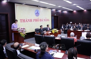 Da Nang seeks to boost collaboration with Japanese partners​