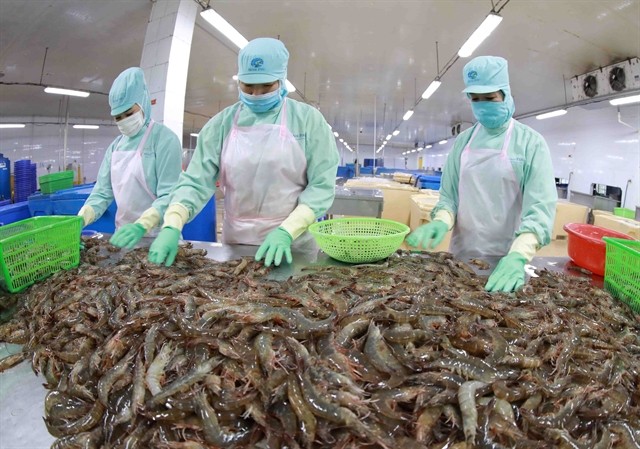 In the first six months of 2024, Việt Nam's seafood export value reached $4.36 billion, an increase of 4.9 per cent over the same period in 2023. — VNA/VNS Photo