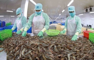 VASEP targets seafood exports of $10 billion for 2024