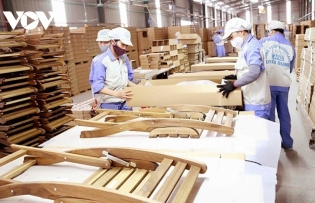 Timber and wood product exports record positive growth