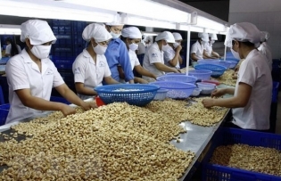 Vietnamese agricultural products, food expected for deeper engagement in global supply chain
