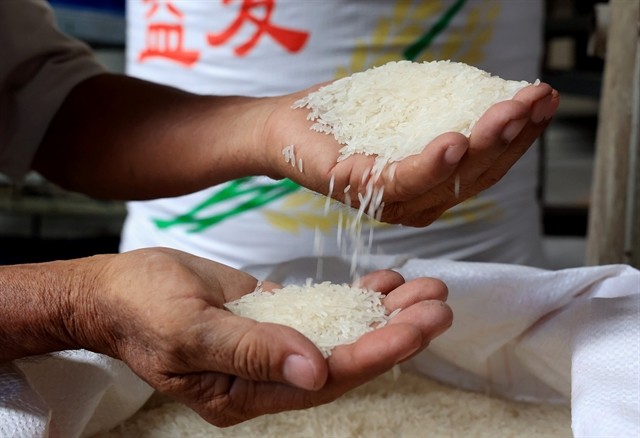 Vietnamese export rice to China. Việt Nam expects to export about 8 million tonnes of rice this year, earning more than $5 billion. —VNA/VNS Photo