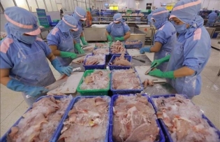 Vietnam’s fishery products standing firm in Singapore