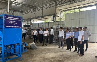 Mushroom production mechanization proves effective