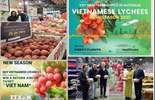 Vietnamese lychee sold well at Costco stores in Australia