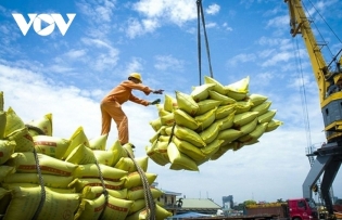 Vietnam retains number one position in rice exports to Singaporean market