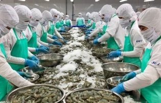 Seven-month seafood exports bring back US$5.3 billion