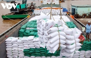 Vietnam exports over 5 million tonnes of rice in seven months