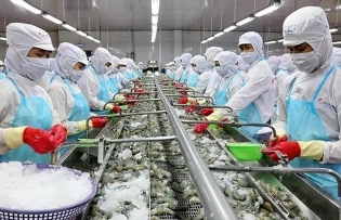 Strategies needed for shrimp sector to meet export target: insiders