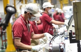 Dong Nai sees large FDI inflows