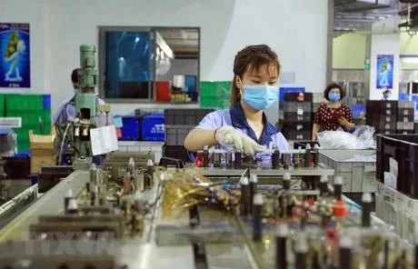 Production at EVA company (Photo: VNA)