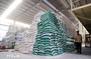 Vietnam's rice exports soar