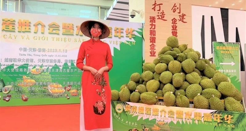 Durian at a Vietnamese fruit festival in China - photo: NDO Durian at a Vietnamese fruit festival in China - photo: NDO