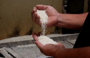 Prices of Vietnamese rice exports at world high